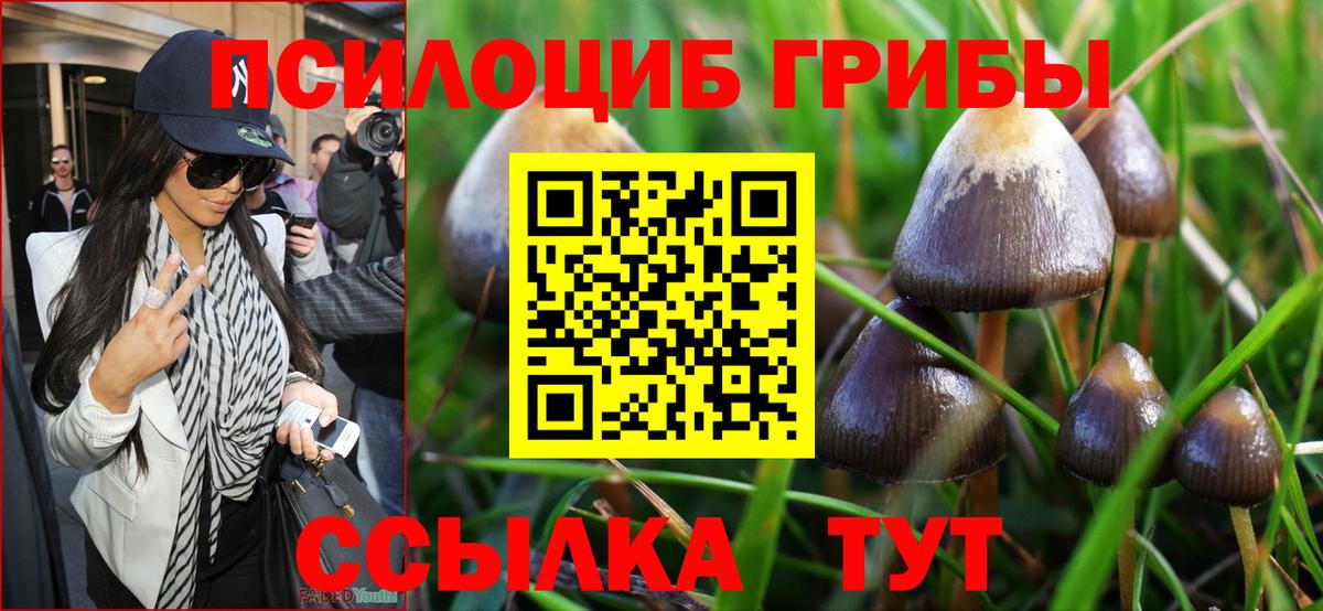 Галлюциногенные грибы Cubensis  Вход с VPN  цена наркотик  Галлюциногенные грибы GOLDEN TEACHER  Междуреченск 